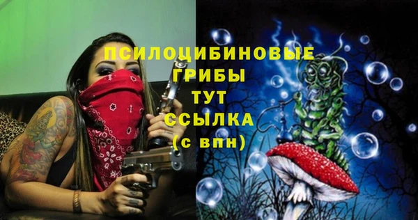 ALPHA PVP Верхнеуральск