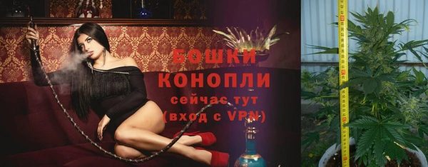 дмт Бронницы