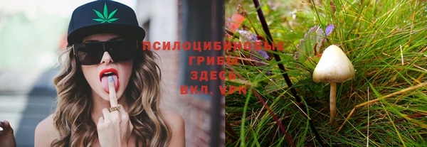 первитин Бугульма